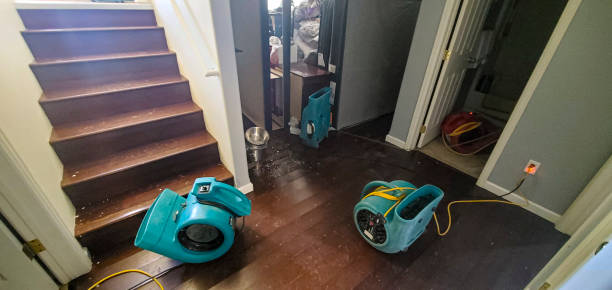 Best Sewage cleanup and water damage restoration  in Colona, IL