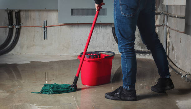 Best 24-hour water damage restoration  in Colona, IL