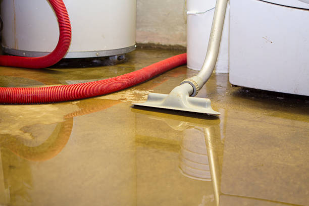 Best Flood damage cleanup  in Colona, IL