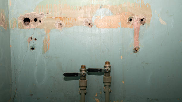 Best Water damage cleanup near me  in Colona, IL