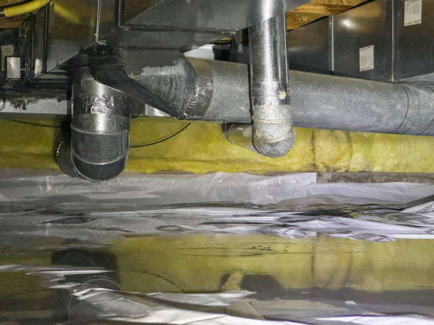 Best Water damage restoration near me  in Colona, IL